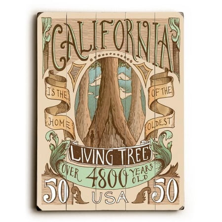 ArteHouse Decorative Wood Sign "California" by Artist Biljana Kroll, 30" x 40", Planked Wood