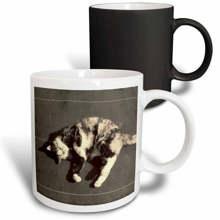 3dRose calico cat on side Magic Transforming Mug 11oz