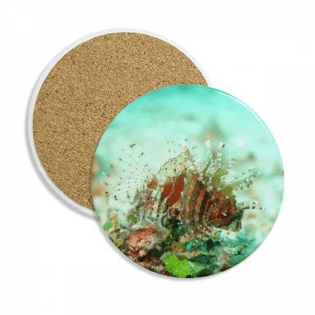 Lionfish Ocean Sea Marine Organism Coaster Cup Mug Tabletop Protection Absorbent Stone
Lionfish Ocean Sea Marine Organism Coaster Cup Mug Tabletop Protection Absorbent Stone