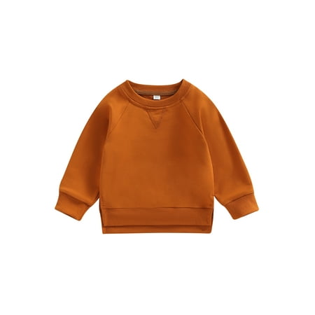 Toddler Baby Boy Girl Crewneck Sweatshirt Cotton Long Sleeve Solid Color Pullover Top Casual Spring Fall Clothes
Toddler Baby Boy Girl Crewneck Sweatshirt Cotton Long Sleeve Solid Color Pullover Top Casual Spring Fall Clothes