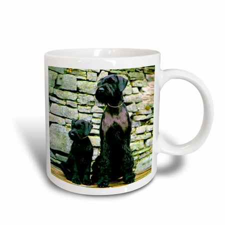 3dRose Giant Schnauzer - Ceramic Mug 15-ounce
