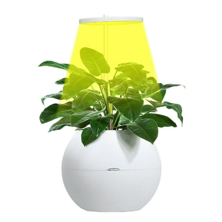 Vokewalm Plant Grow Light Ring Shape - Grow Light Strip Emitter Adjustable Plant Growing Lamps for Indoor USB-Powered Dimmable Brightness 5v
Vokewalm Plant Grow Light Ring Shape - Grow Light Strip Emitter Adjustable Plant Growing Lamps for Indoor USB-Powered Dimmable Brightness 5v