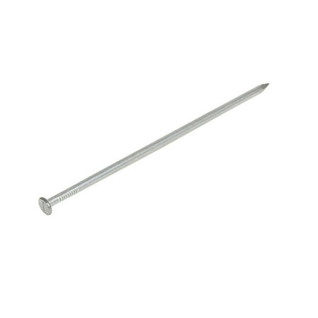 Amerimax 29041Bx25 Spike Nails Steel 7 Inch