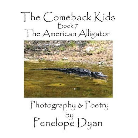The Comeback Kids, Book 7, the American Alligator