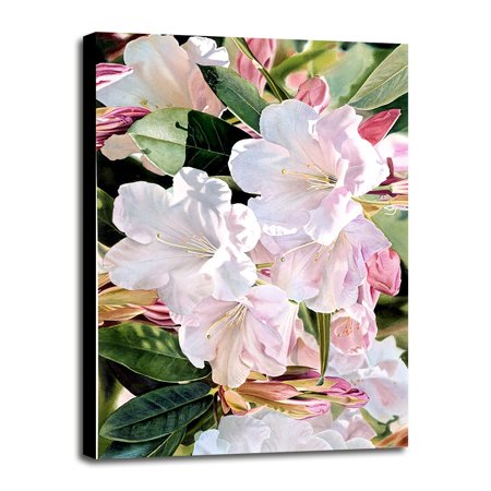 Morning's Glory-JOEOGA11692 Print 7"x4.5" by Joel Ogard in a Canvas Stretched on 3/4" Bars