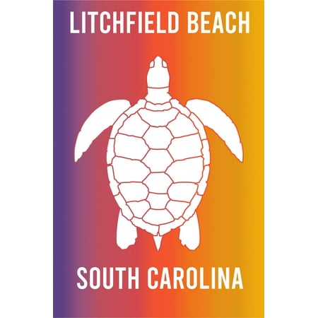 Lido Key Beach Florida Souvenir 2x3 Inch Fridge Magnet Turtle Design