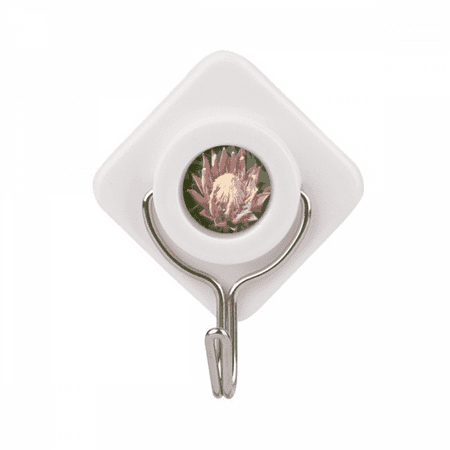 South Africa Lily Brodiaea Adhesive Wall Hooks Hanging Self Sticky