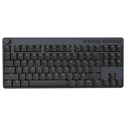 iKBC Typemaster X400 White Backlit LED Mechanical Keyboard with Cherry MX Low Profile Red Switch for Windows/Mac (Tenkeyless Keyboards, Dark Gray Case, Black ABS 87 Keycaps, ASIN/US QWERTY)