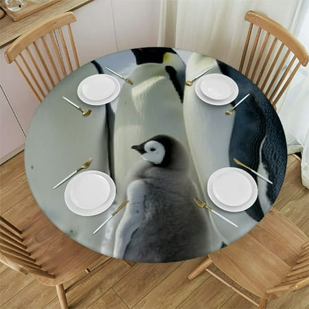 Patifu Penguins Snow Round Table Cover Stain Resistant Washable Indoor Outdoor Tablecloth Kitchen Dining Wedding Parties 100% Polyester Fiber 46-50
Patifu Penguins Snow Round Table Cover Stain Resistant Washable Indoor Outdoor Tablecloth Kitchen Dining Wedding Parties 100% Polyester Fiber 46-50