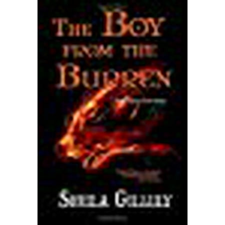 The Boy From the Burren: The First Book of the Painter (The Books of the Painter) (Volume 1)