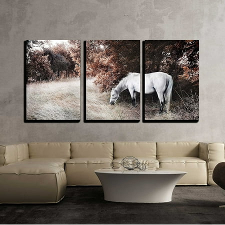 wall26 - 3 Piece Canvas Wall Art - White Horse - Modern Home Decor Stretched and Framed Ready to Hang - 16"x24"x3 Panels