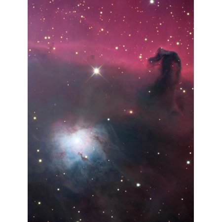 The Horsehead Nebula (Barnard33), The Bright Blue Nebula To The Lower Left is Ngc2023 Print Wall Art By Robert Gendler