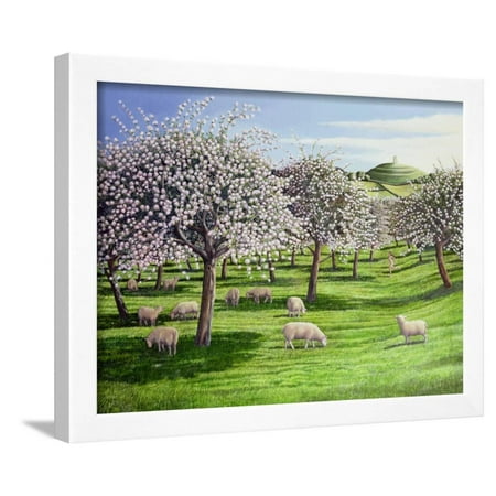 Celebration of Apple Blossom in Somerset, 2004 Framed Print Wall Art By Liz Wright