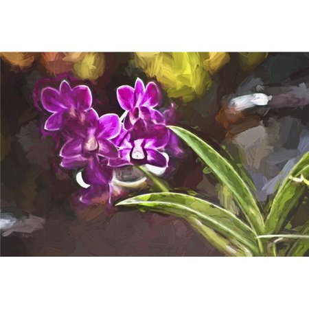 Posterazzi DPI12278230LARGE Purple Vanda Orchid - Honolulu Oahu Hawaii United States of America Poster Print - 38 x 24 in. - Large