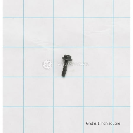 WB01T10013 GE Screw OEM WB01T10013