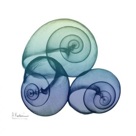 Sea Sky Snails Poster Print by Albert Koetsier