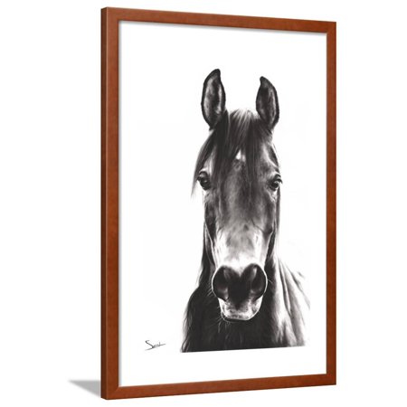 Horse Portrait Framed Print Wall Art By Eric Sweet