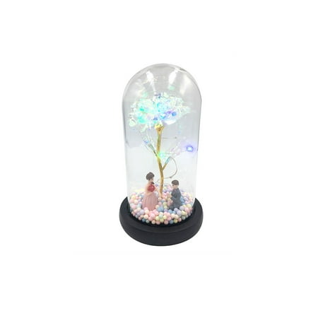 Enchanted Rose rose light rose light up Glass Rose dome rose light Dome For Valentines Gifts LED Rose Lamps Battery Powered Red Rose
Enchanted Rose rose light rose light up Glass Rose dome rose light Dome For Valentines Gifts LED Rose Lamps Battery Powered Red Rose