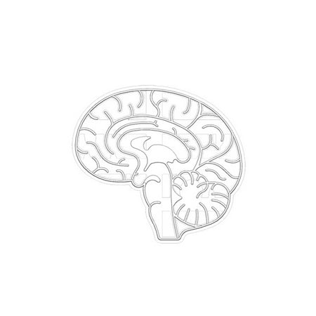 VEAREAR Easy to Clean Biscuit Mold Food Grade Non-stick Reusable Cartoon DIY Brain Heart Human Organ Cookie Mold Baking Tool
VEAREAR Easy to Clean Biscuit Mold Food Grade Non-stick Reusable Cartoon DIY Brain Heart Human Organ Cookie Mold Baking Tool