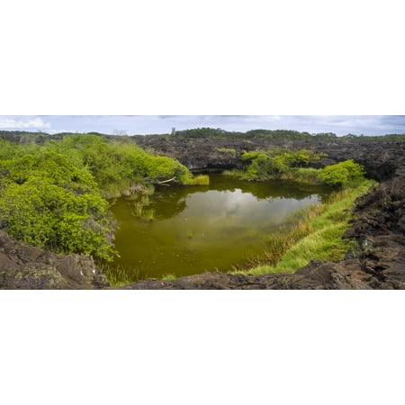 Elevated view of wetland pool in the middle of the Pahoehoe Lava Punta Moreno Isabela Island Galapagos Islands Ecuador Stretched Canvas - Panoramic Images (36 x 12)