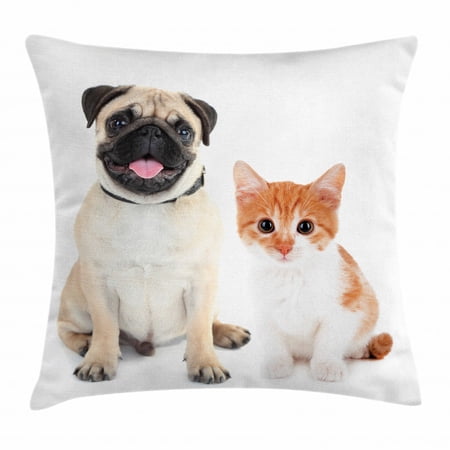 Pug Throw Pillow Cushion Cover, Adorable Kitten and Puppy Photography Cute Animal Fun Young Pets Happy Image, Decorative Square Accent Pillow Case, 20 X 20 Inches, Cream Orange White, by Ambesonne