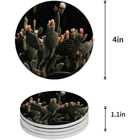 KXMDXA Cactus Set of 4 Round Coaster for Drinks Absorbent Ceramic Stone Coasters Cup Mat with Cork Base for Home Kitchen Room Coffee Table Bar Decor
KXMDXA Cactus Set of 4 Round Coaster for Drinks Absorbent Ceramic Stone Coasters Cup Mat with Cork Base for Home Kitchen Room Coffee Table Bar Decor