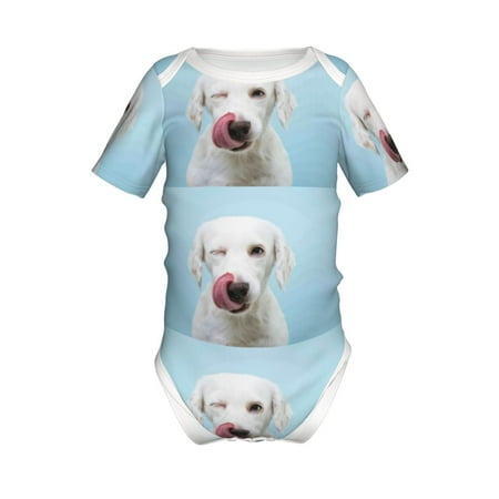 Adobk Puppy Licks Nose Print Baby Climbing Clothes Jumpsuit Rompers Classic Rompers Child Short sleeve Bodysuits-9M
Adobk Puppy Licks Nose Print Baby Climbing Clothes Jumpsuit Rompers Classic Rompers Child Short sleeve Bodysuits-9M