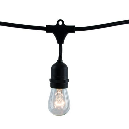 Bulbrite 812482 48 ft. String Light Kit with Vintage Style S14 Incandescent Light Bulbs Clear
Bulbrite 812482 48 ft. String Light Kit with Vintage Style S14 Incandescent Light Bulbs Clear