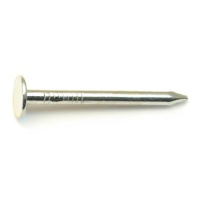 6d 1-1/2 Zinc Plated Steel Roofing Flat Head Nails (230 pcs.)