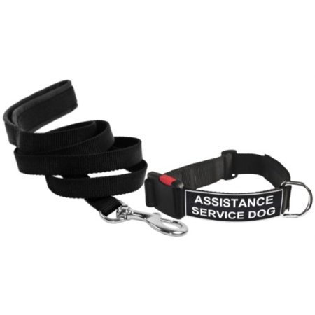 Dean & Tyler Assistance Service Dog Medium Patch Collar with 6-Feet Padded Puppy Leash, Black