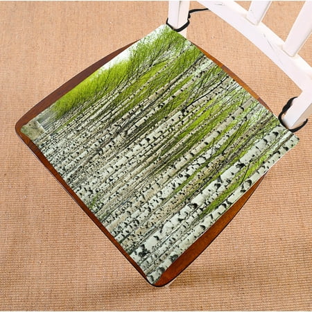 YKCG Green Birch Tree Bare Birch Trees with Fresh Green Leaves in Spring Seat Cushion Chair Cushion Floor Cushion Twin Sides 20x20 inches
YKCG Green Birch Tree Bare Birch Trees with Fresh Green Leaves in Spring Seat Cushion Chair Cushion Floor Cushion Twin Sides 20x20 inches