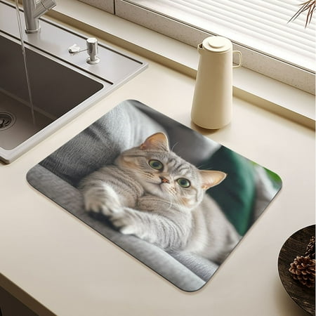Cute English Shorthair Cat Drying Mat Diatomaceous Earth Super Absorbent Slip Rubber Sole Heat Resistant 230 Degrees Fahrenheit 23.6×19.7in
Cute English Shorthair Cat Drying Mat Diatomaceous Earth Super Absorbent Slip Rubber Sole Heat Resistant 230 Degrees Fahrenheit 23.6×19.7in