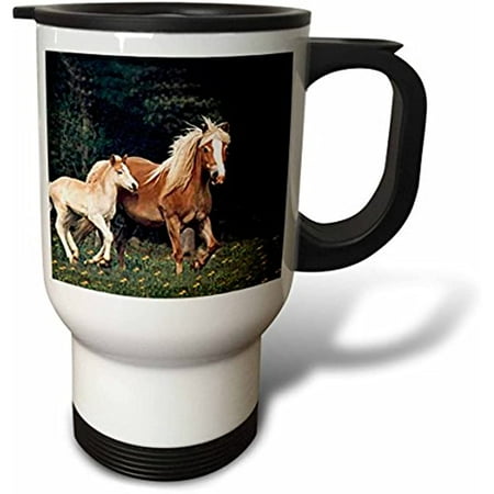 3dRose Palomino Pony Travel Mug 14-Ounce Stainless Steel
