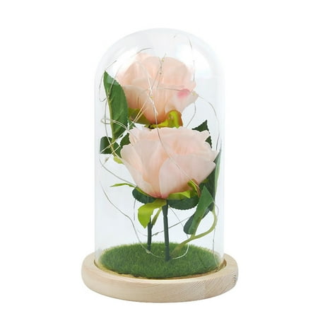 Romantic Immortal Flower Micro Landscape Rose Simulation Glass Shade Led Llight Class
Romantic Immortal Flower Micro Landscape Rose Simulation Glass Shade Led Llight Class