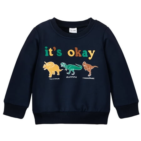 Jeccie Toddler & Baby Boys Dinosaur Graphic Terry Sweatshirts Tops