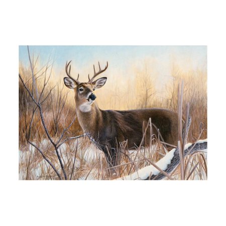 Big Buck Print Wall Art By Rusty Frentner
