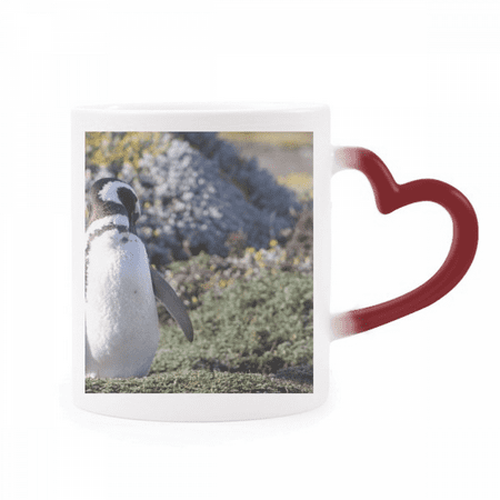 Stand Southern Penguin SpheniscidaePicture Heat Sensitive Mug Red Color Changing Stoneware Cup
Stand Southern Penguin SpheniscidaePicture Heat Sensitive Mug Red Color Changing Stoneware Cup