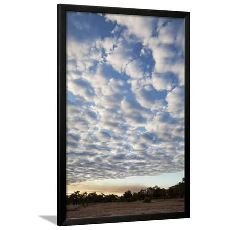 South Luwangwe National Park Framed Print Wall Art By Michele Westmorland