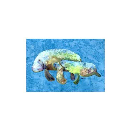 8660PLMT Manatee Fabric Placemat, Multicolor