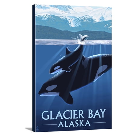 Glacier Bay, Alaska - Orca and Calf - Lantern Press Poster (16x24 Gallery Wrapped Stretched Canvas)