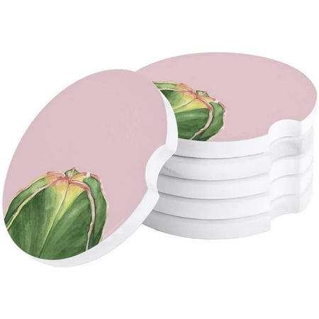 FMSHPON Green Cactus Plant Pink Set of 2 Car Coaster for Drinks Absorbent Ceramic Stone Coasters Cup Mat with Cork Base for Home Kitchen Room Coffee Table Bar Decor
FMSHPON Green Cactus Plant Pink Set of 2 Car Coaster for Drinks Absorbent Ceramic Stone Coasters Cup Mat with Cork Base for Home Kitchen Room Coffee Table Bar Decor