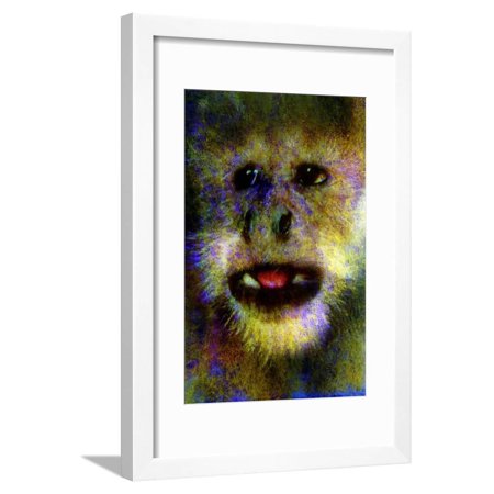 Monkey Framed Print Wall Art By Andr? Burian