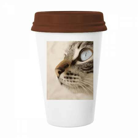 Animal Blue Eye Kitten Gray Photo Mug Coffee Drinking Glass Pottery Cerac Cup Lid
Animal Blue Eye Kitten Gray Photo Mug Coffee Drinking Glass Pottery Cerac Cup Lid