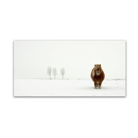 Trademark Fine Art 'The Cold Pony' Canvas Art by Gert van den