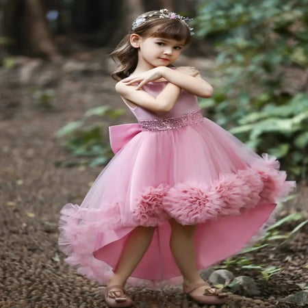 HAZHOUYUJIUKJ Beautiful Girls Princess Formal Dress Perfect for Christmas Evening Party and Birthday Celebration
HAZHOUYUJIUKJ Beautiful Girls Princess Formal Dress Perfect for Christmas Evening Party and Birthday Celebration