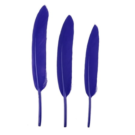 CHGBMOK Kitchen Gadgets 50PC Feather Small Straight Knife Colored Feather Kindergarten Diy Craft
CHGBMOK Kitchen Gadgets 50PC Feather Small Straight Knife Colored Feather Kindergarten Diy Craft