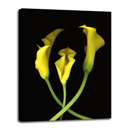 Calla Lilies #2-SUSBAR72025 Print 31.25"x22.75" by Susan S. Barmon in a Canvas Stretched in Black Frame