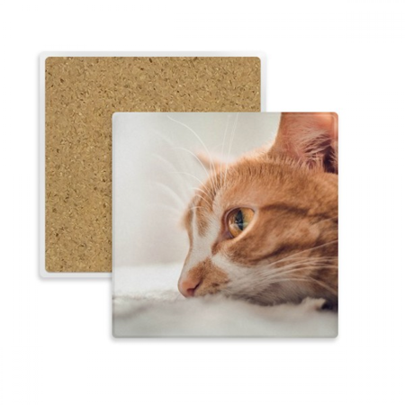 Animal Pure Cat Photograph Picture Square Coaster Cup Mat Mug Subplate Holder Insulation Stone
Animal Pure Cat Photograph Picture Square Coaster Cup Mat Mug Subplate Holder Insulation Stone