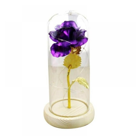 Brand Clearance! Battery Powered Glass Fairy Light in a Glass Dome with LED Light String On Wooden Base 24K Gold Plating Rose Flower the Best Gifts
Brand Clearance! Battery Powered Glass Fairy Light in a Glass Dome with LED Light String On Wooden Base 24K Gold Plating Rose Flower the Best Gifts
