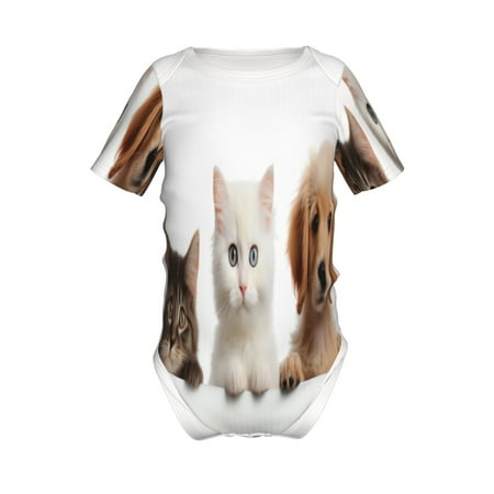 Coaee Cute Kittens And Puppy for Soft Baby Short-Sleeve Bodysuit Baby Climbing Clothes Baby Girls Boys Bodysuit Romper-9M
Coaee Cute Kittens And Puppy for Soft Baby Short-Sleeve Bodysuit Baby Climbing Clothes Baby Girls Boys Bodysuit Romper-9M